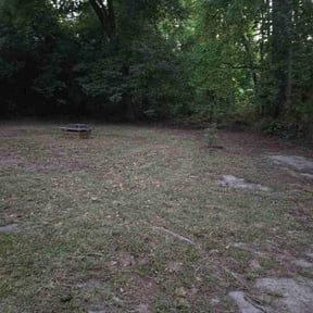 Leaf Removal by RS lawn care reviewed on September 29, 2025