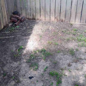 Leaf Removal by Billy Stone reviewed on November 20, 2024