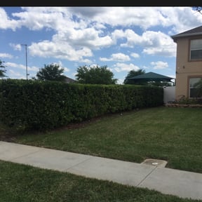 Bush Trimming by Taylor Services reviewed on August 21, 2025