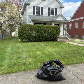 Bush Trimming by Scott and son landscape reviewed on April 17, 2026