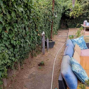 Bush Trimming by Roberto Pena reviewed on November 6, 2025