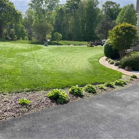 yard maintenance by Steven Pickney reviewed on August 20, 2025