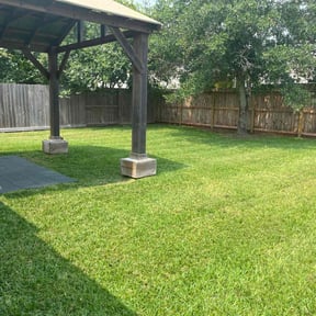 grass maintenance by Frazier Lawn Care reviewed on January 31, 2025