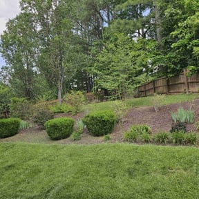 yard care by Maintain mobile maintenance and lawn care reviewed on August 19, 2025