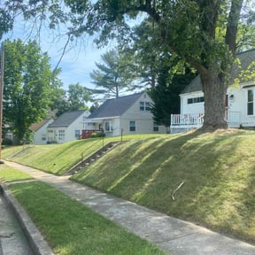 lawn care services by Divine Lawn Care reviewed on April 10, 2024