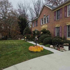 Bush Trimming by A and L lawn Care Professionals reviewed on November 18, 2025