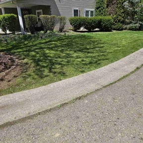 yard service by Re Image lawn care reviewed on August 19, 2025