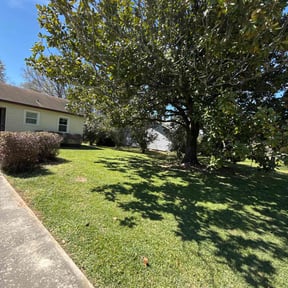 turf maintenance by Salvador Lawn and Tree Service reviewed on April 10, 2024