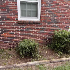 Bush Trimming by A Cut Above Lawn &amp; Landscaping reviewed on October 23, 2025