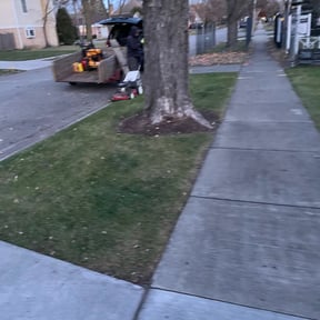 Leaf Removal by Propagate Lawn Services LLC reviewed on October 2, 2025