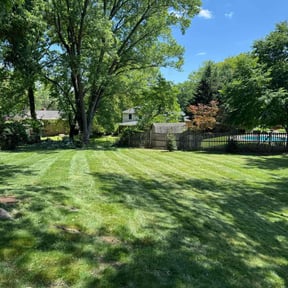 yard service by EV Great Valley Landscaping,LLC. reviewed on November 24, 2025