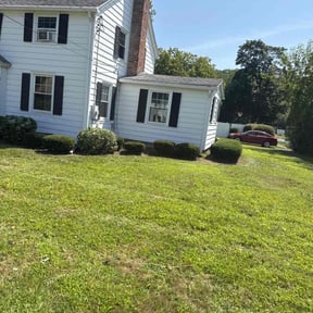 Bush Trimming by Major Services reviewed on October 19, 2025