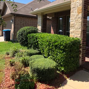 Bush Trimming by Much Obliged Lawn Care reviewed on August 20, 2025