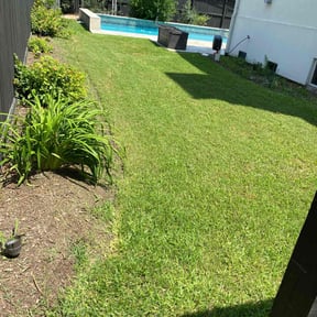 yard maintenance by Charleston Green Team LLC. reviewed on August 17, 2025