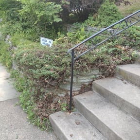 Bush Trimming by Lagger Properties reviewed on August 20, 2025