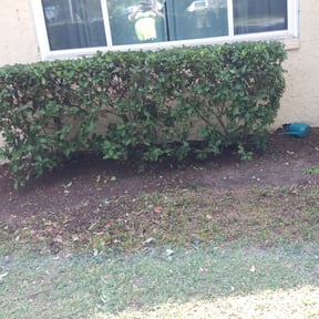 Leaf Removal by J&amp;D Lawn Care Services &amp; More LLC reviewed on October 2, 2025