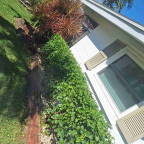 Bush Trimming by Valencia Landscaping reviewed on October 19, 2025