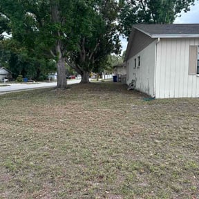 Leaf Removal by JT Lawn Care reviewed on June 14, 2026