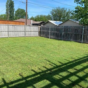 landscape maintenance by Miramontes Landscaping reviewed on August 19, 2025