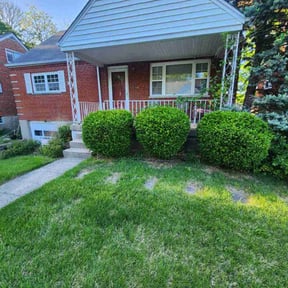 Bush Trimming by First Choice Landscaping of St Augustine reviewed on August 18, 2025