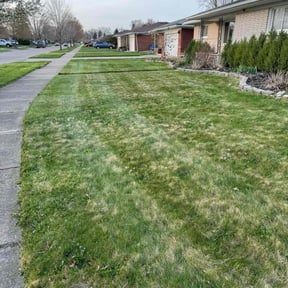 Leaf Removal by A &amp; B Premier Lawncare reviewed on September 14, 2025