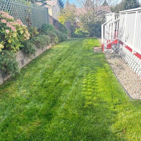 yard service by Mow n grow reviewed on August 15, 2025