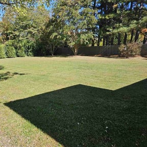 grass maintenance by Saunders Lawn Care reviewed on October 4, 2024
