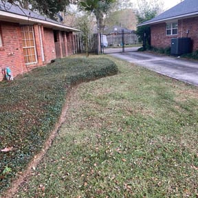 Bush Trimming by Three Bears Lawn Care (West Delivery) reviewed on January 4, 2026