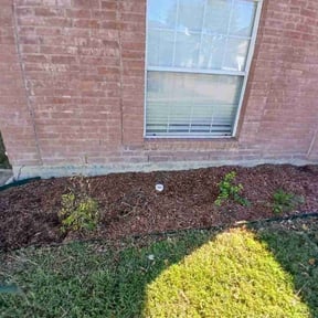 Flower Bed Weeding by The Lawn Cypress reviewed on November 25, 2025