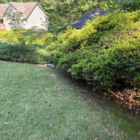 Bush Trimming by Terra Dura Landscapes LLC reviewed on August 15, 2025