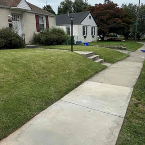 grass maintenance by The More You Mow reviewed on April 26, 2024