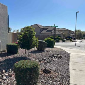 Bush Trimming by Southern Green Landscape reviewed on March 10, 2026