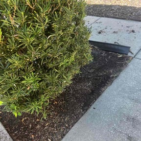 Flower Bed Weeding by JP Landscape reviewed on August 15, 2025