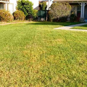 lawn care by Hugo Lopez Landscaping reviewed on November 23, 2024