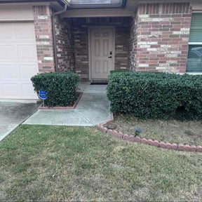 Bush Trimming by Michael Warren reviewed on November 18, 2025