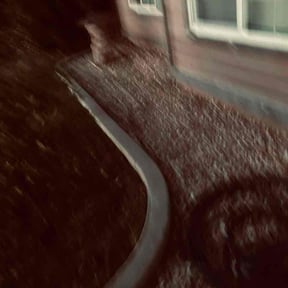 Flower Bed Weeding by Joseph Franklin reviewed on April 11, 2026