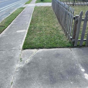 lawn care by Coqui cleaning & Lawn maintenance LLC reviewed on August 5, 2024