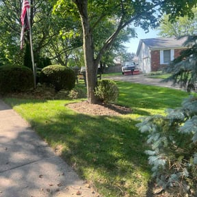yard care by Viking Mow & Plow reviewed on August 15, 2025