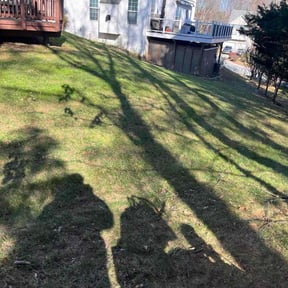 Leaf Removal by Still Waters caretaker of His creation LLC reviewed on November 22, 2025