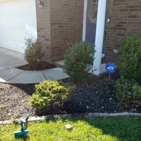 Bush Trimming by Coqui Lawn Care Services reviewed on August 18, 2025