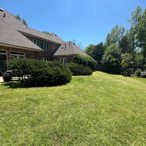 lawn care services by Ortega lawn services LL reviewed on August 18, 2025