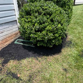 Mulching by Amby's Lawn Service reviewed on August 15, 2025