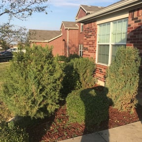 Bush Trimming by Foresight Landscape Maintenance and Design reviewed on August 20, 2025