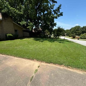 yard care by Hayes expedite service reviewed on August 16, 2025