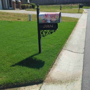 yard service by Ray Wright Lawn Care Services LLC reviewed on August 20, 2025