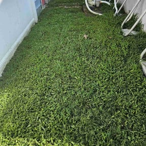 yard work by Mow &amp; Go reviewed on August 16, 2025