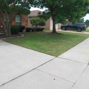 yard maintenance by MVP Services and Lawn care6 reviewed on August 21, 2025