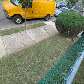 Bush Trimming by Proper Lawn Service reviewed on August 5, 2026