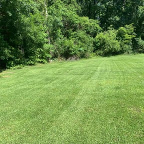 residential landscaping by Stream Scene Landscaping reviewed on October 22, 2025