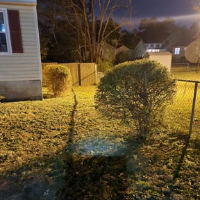 Bush Trimming by Keep it Loe Lawn Service reviewed on August 20, 2025